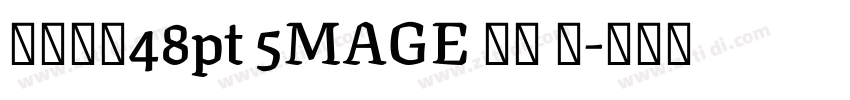 字体大小48pt 5MAGE 预览 简字体转换
